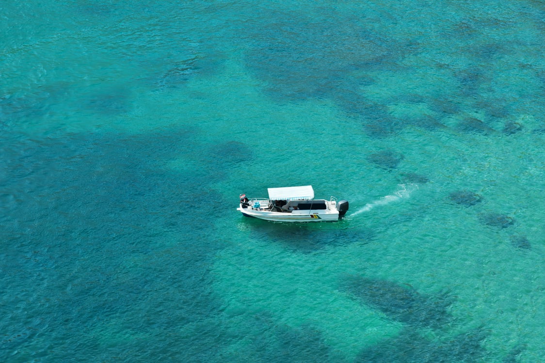 Speed boat sailing in the sea